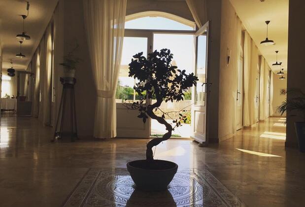 Triangulo Hotel Alaçatı - Görsel 31