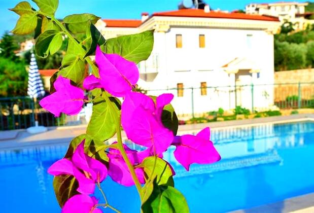 Garden View Villa 1 - Görsel 9