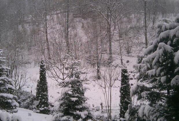 Sessiz Ev Çiftlik Otel - Görsel 6