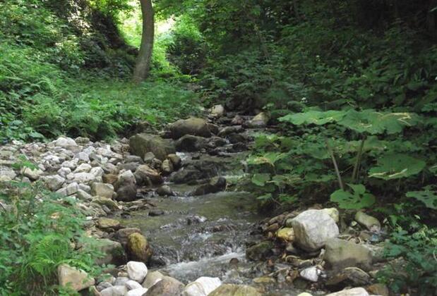 Sessiz Ev Çiftlik Otel - Görsel 3