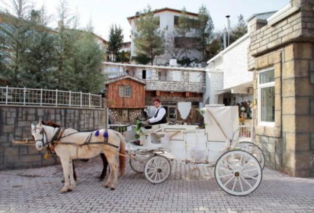 Veliç Village Kırevleri - Görsel 12