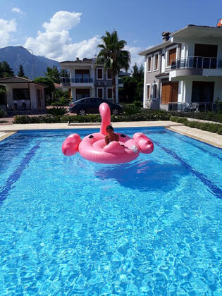 Pak Villam - Görsel 17