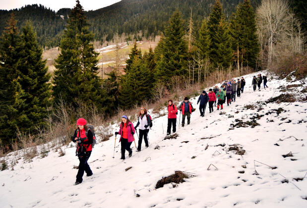 Livera Camping - Görsel 5