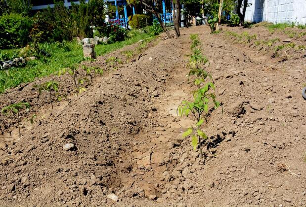 Garden Butik Otel - Görsel 24