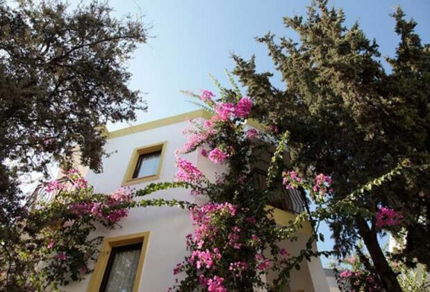 Club Jiba Hotel - Görsel 14