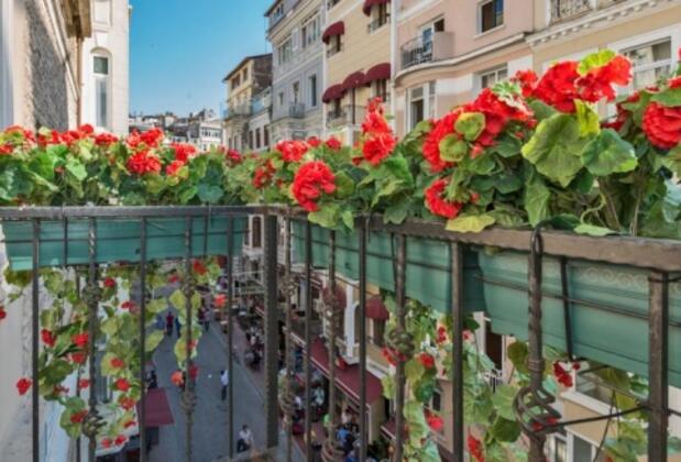 IQ Houses Mis - Görsel 13