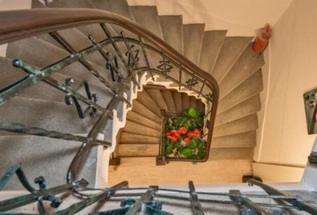 IQ Houses Mis - Görsel 3