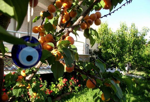 Akıncılar Apart Otel Küçükkuyu - Görsel 8