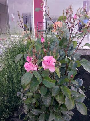 Özcanlar Otel - Görsel 16