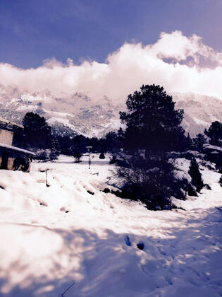 Sezer Motel - Görsel 5