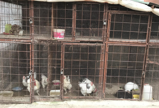 Ema Hotel - Görsel 19