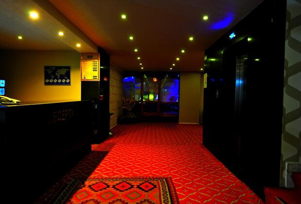 Büyük Asur Oteli - Görsel 9