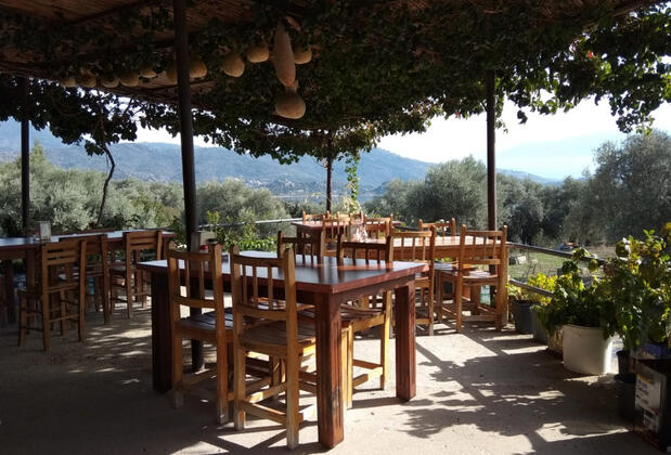 Latmia Restaurant Pansiyon - Görsel 7