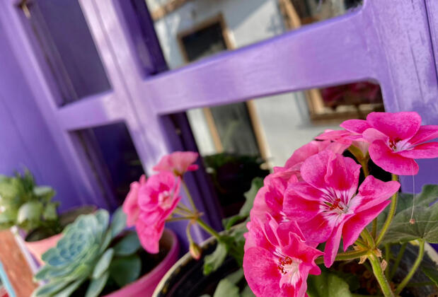 Tirilye Nar Çiçeği Butik Otel - Görsel 20