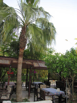 Aquarius Hotel Side - Görsel 9