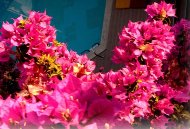 Hotel Gülbaba - Görsel 10