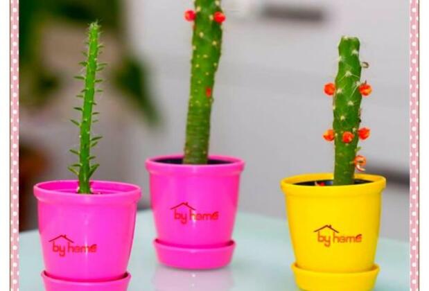 By Home Hotel - Görsel 14