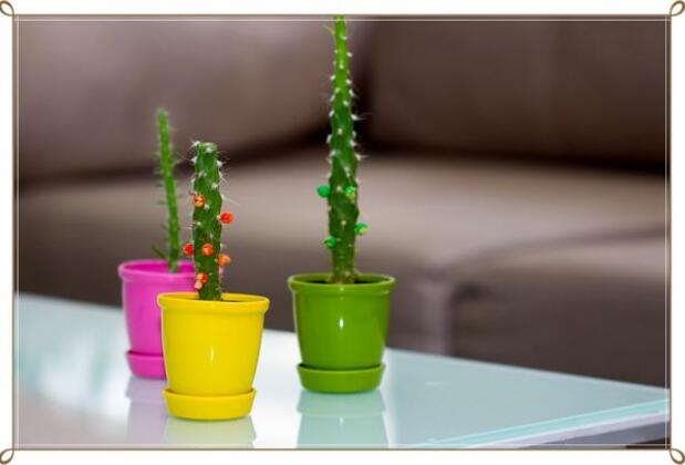 By Home Hotel - Görsel 5