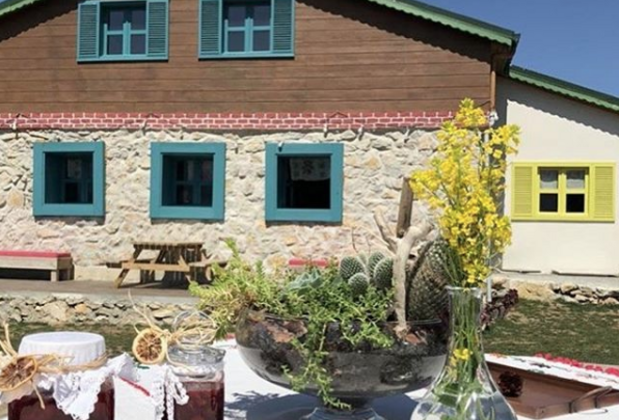 Nayino Dağ Evi - Görsel 22