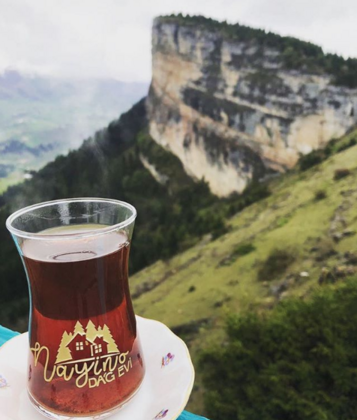 Nayino Dağ Evi - Görsel 37