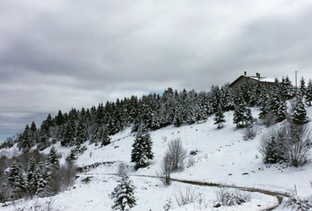 Nayino Dağ Evi - Görsel 6