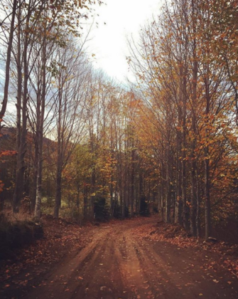 Nayino Dağ Evi - Görsel 50