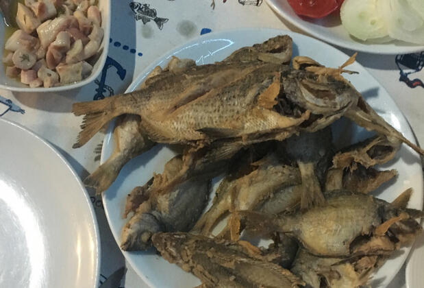 Seddülbahir Mocamp - Görsel 9