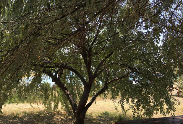 Seddülbahir Mocamp - Görsel 33