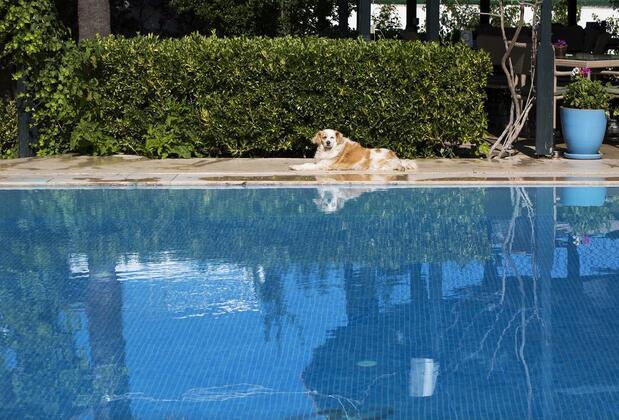 BizBize İstanbul Hotel - Görsel 30