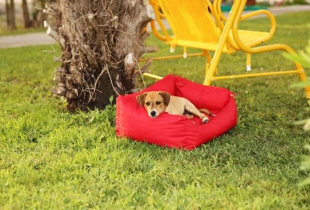 Sunshine Boutique Hotel - Görsel 9