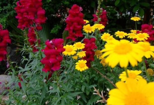 Beydağı Konak Otel Göynük - Görsel 24