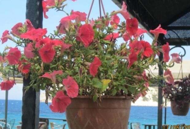 Derin Naz Pansiyon - Görsel 3