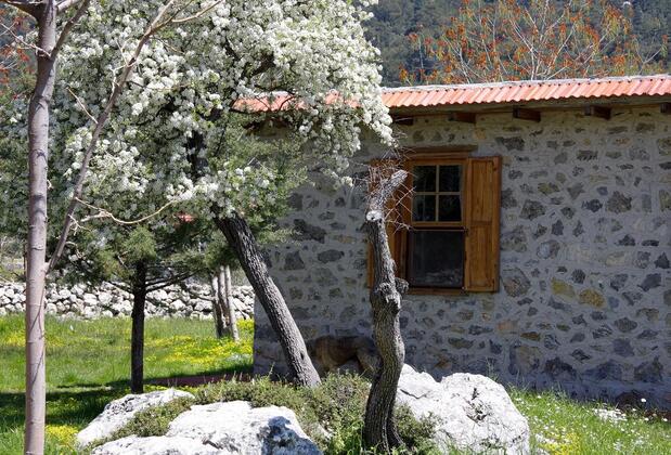 Black Tree Farm & Cottages - Görsel 12