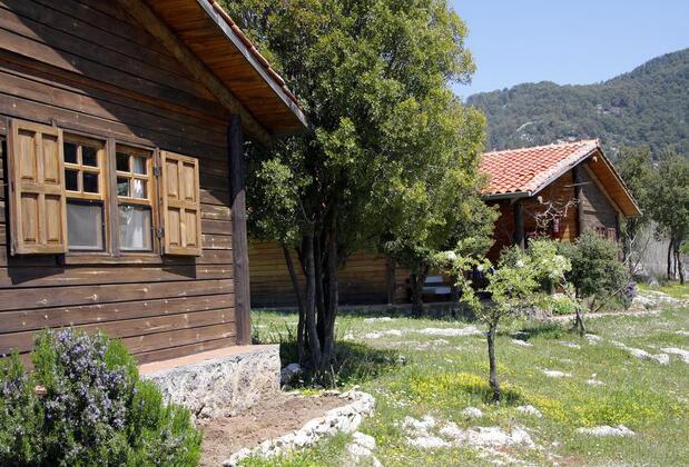 Black Tree Farm & Cottages - Görsel 39