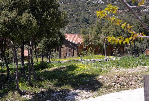 Black Tree Farm & Cottages - Görsel 24