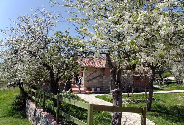 Black Tree Farm & Cottages - Görsel 4