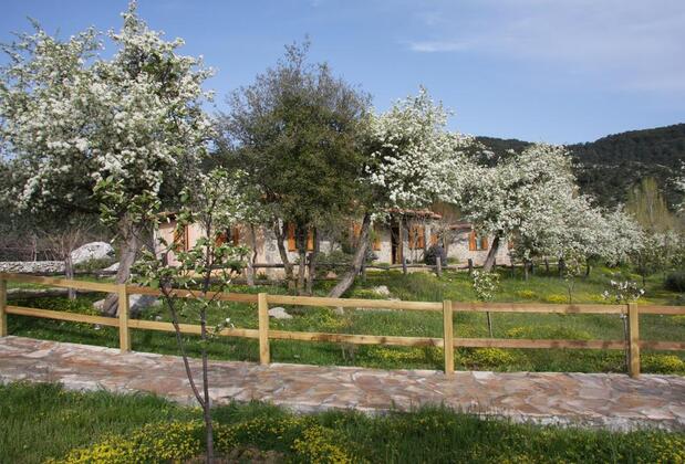 Black Tree Farm & Cottages - Görsel 27