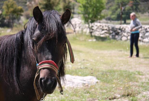 Black Tree Farm & Cottages - Görsel 36