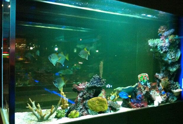 Blue Butik Otel İzmir - Görsel 17