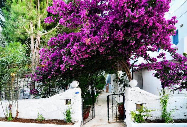 Misket Otel Bodrum - Görsel 18