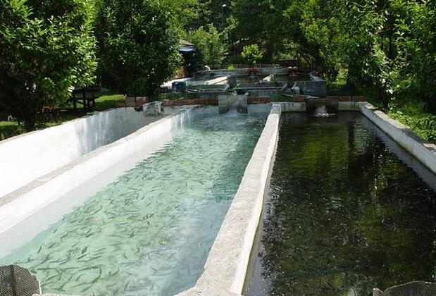 Bungalow Hotel Cansu - Görsel 48