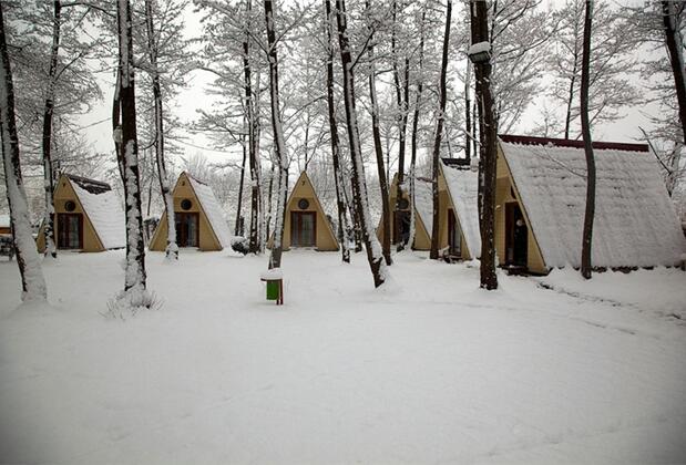 Bungalow Hotel Cansu - Görsel 29