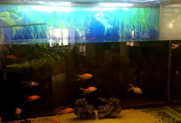 Çekirge Termal Otel - Görsel 9