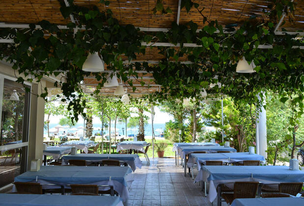 Palmiye Otel Özdere - Görsel 27