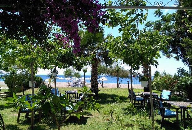 Palmiye Otel Özdere - Görsel 5