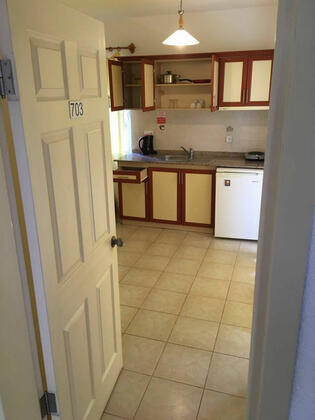 Club Ekinci Palace Hotel İçmeler - Görsel 23