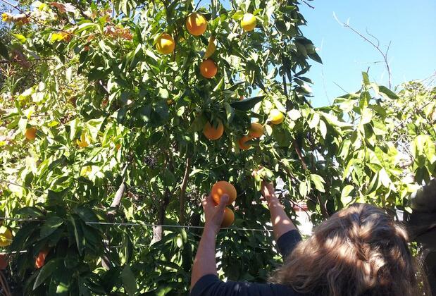 Ferah Pansion - Monica's House - Görsel 36