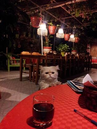 Ferah Pansion - Monica's House - Görsel 25