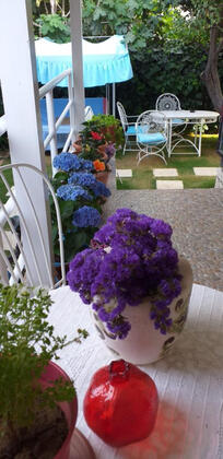 Sahaf Otel - Görsel 27