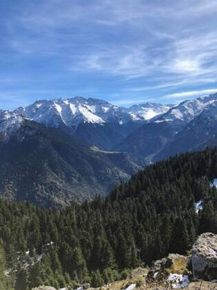 Gito Yessi Bungalov - Görsel 9